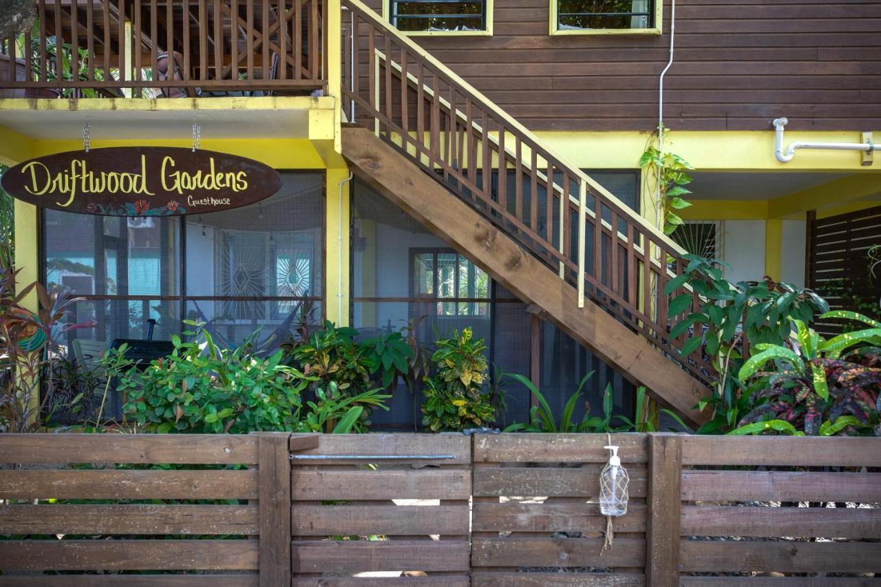 Driftwood Gardens Guesthouse Placencia Exteriör bild