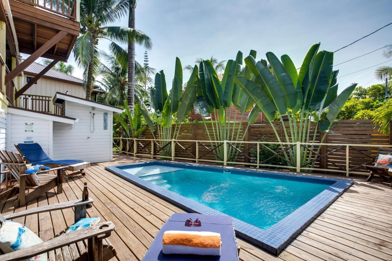 Driftwood Gardens Guesthouse Placencia Exteriör bild