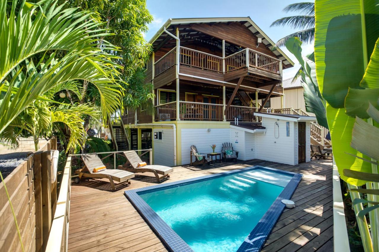Driftwood Gardens Guesthouse Placencia Exteriör bild