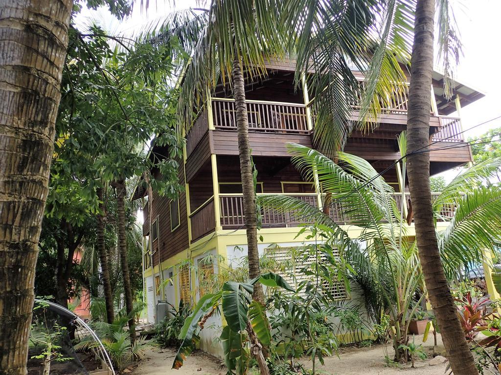 Driftwood Gardens Guesthouse Placencia Exteriör bild